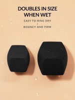 اسفنج چند وجهی MULTI-FACETED MAKEUP SPONGE-BLACK شیگلم SHEGLAM - Image 3