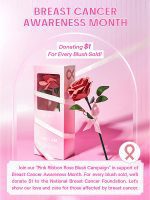 رژگونه Pink Ribbon Rose  شیگلم SHEGLAM - Image 4