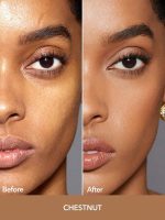 کانسیلر  PERFECT SKIN HIGH COVERAGE CONCEALER -CHESTNUT شیگلم SHEGLAM - Image 2