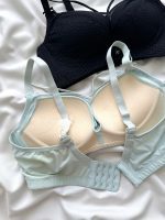 سوتین اسفنجی هارنس دانلا - Image 4