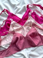 سوتین زنانه منتهی دانلا - Image 2