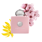 عطر ادکلن آمواج بلوسوم لاو | Amouage Blossom Love