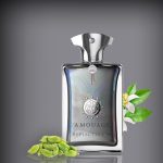 عطر ادکلن آمواج رفلکشن 45 | Amouage Reflection 45