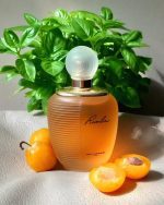 عطر ادکلن تد لاپیدوس رومبا | Ted Lapidus Rumba