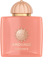 عطر ادکلن آمواج گایدنس