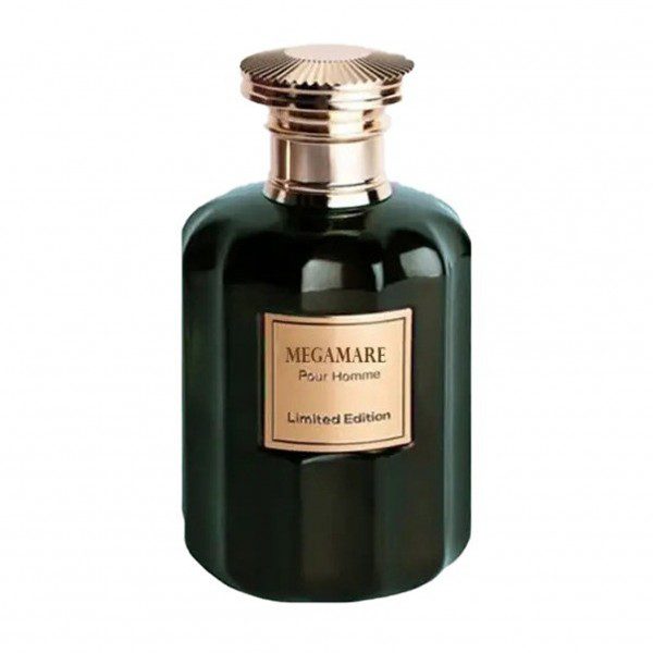 roberto-vizzari-megamare-edp عطر ادکلن روبرتو ویزاری مگاماره