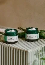 کرم روز تسکین دهنده آلوئه ورا بادی شاپ The Body Shop - Image 2