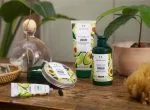 کرم مرهم دست آووکادو بادی شاپ The Body Shop
