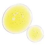 روغن بی اویل اوردینری مغذی پوست (30mL) - Image 4