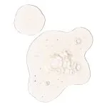 سرم لایه بردار ملایم لاکتیک اسید 10% اوردینری (30mL) The Ordinary - Image 4