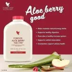 نوشیدنی آلوئه بری نکتار فوراورلیوینگ Foreverliving Aloe Berry Nectar - Image 2