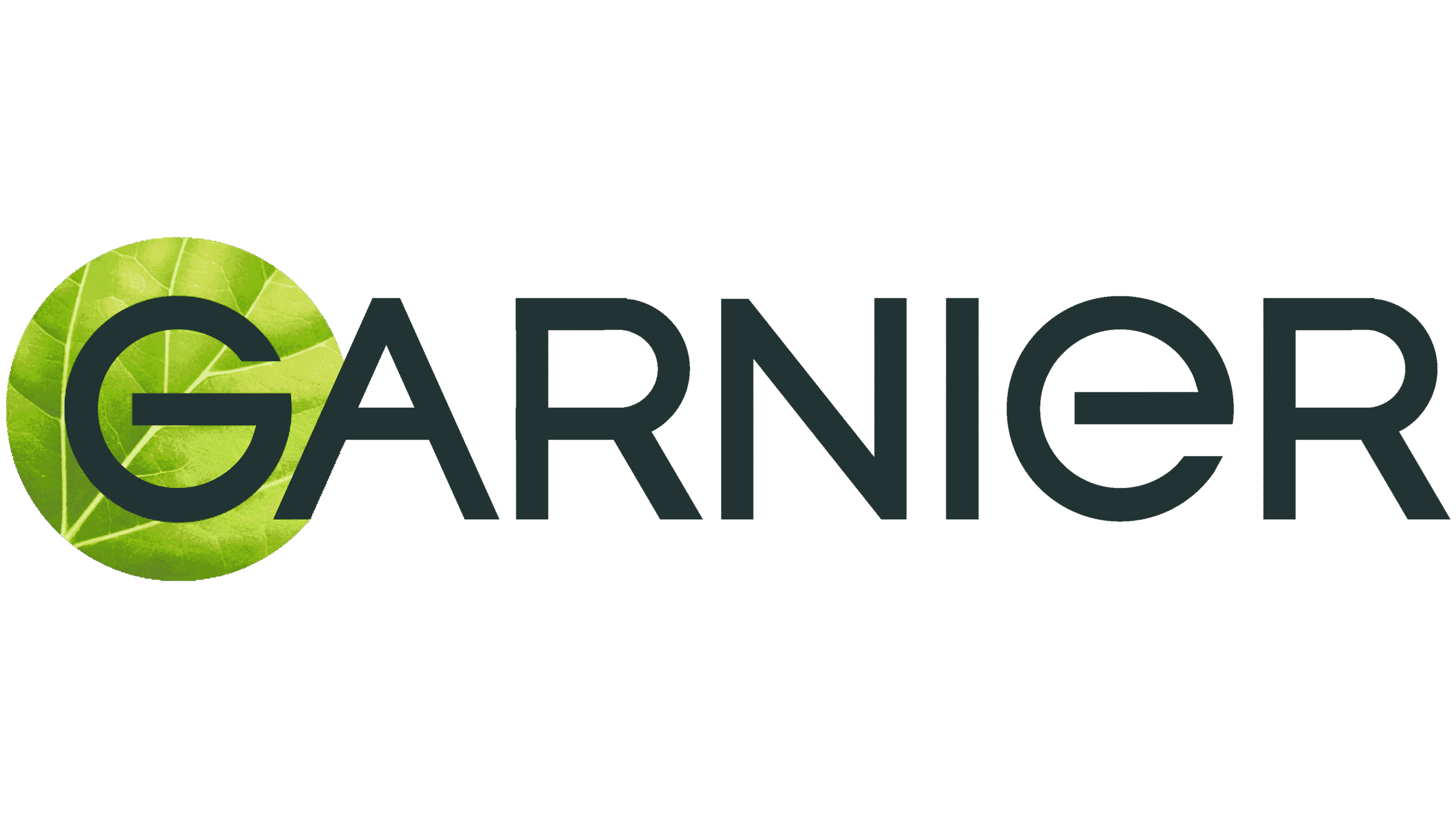 لوگو گارنیر