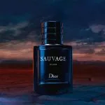 عطر ساواج Elixir دیور Dior - Image 2