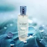 عطر رین دراپس اجمل AJMAL raindrops - Image 4