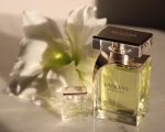 عطر ورساچه ونیتاس VANITAS VERSACE - Image 2