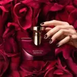 عطر اسپلندیدا مگنولیا سنشوال بولگاری BVLGARI SPLENDIDA MAGNOLIA SENSUEL" - Image 2