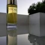 ادکلن کالوین کلین اسکیپ مردانه Calvin Klein ESCAPE for men - Image 3