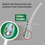 شامپو  ضد ریزش پوست سر حساس آلپسین Alpecin Sensitiv Caffeine Shampoo S1 - Image 2