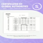 پالت سایه چشم RHAPSODY شیگلم SHEGLAM - Image 8