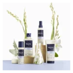 شامپو نرم کننده فیتو سافتنس Phyto - Image 2