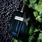 عطر ادکلن ایفسن لوران وای ادوپرفیوم اینتنس | Yves Saint Laurent Y Eau de Parfum Intense - Image 2